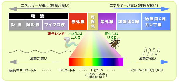 （電磁波の種類：放射線影響研究所資料より）.jpg