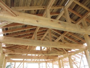 IMG_2868.jpg